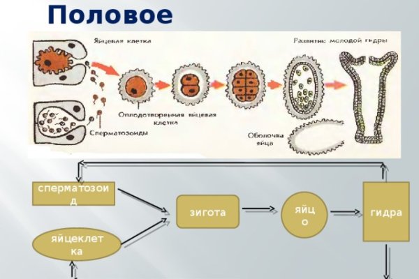 Кракен даркнет ссылка kraken link24 info