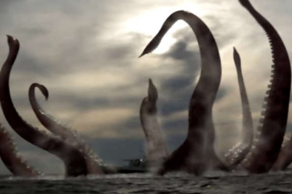 Как вывести деньги с kraken