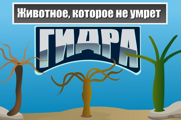 Дарк площадка кракен