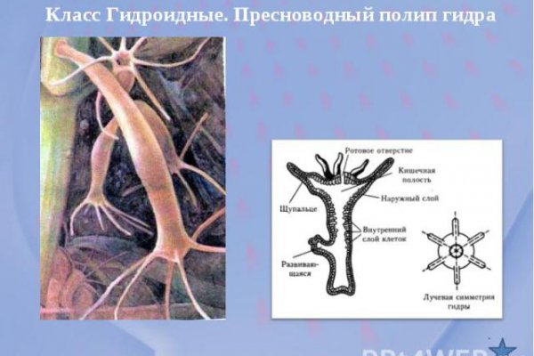 Кракен даркет