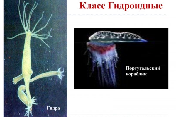 Кракен зеркало 2
