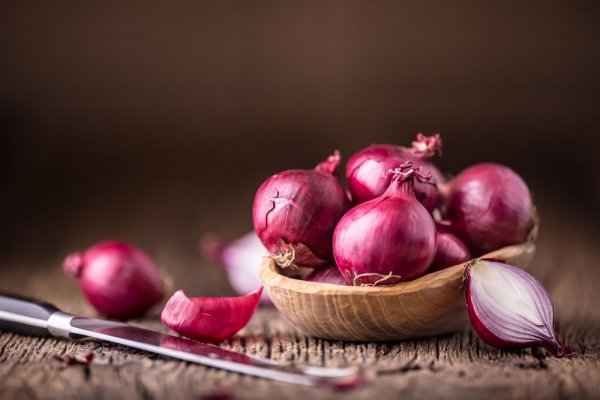 Какая сейчас ссылка на кракен