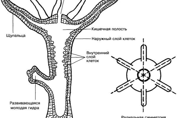 2krn cc что это