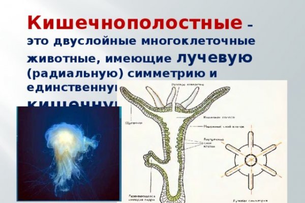 Ссылка на кракен маркет