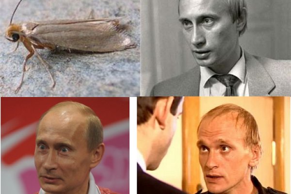 Кракен 2krnk